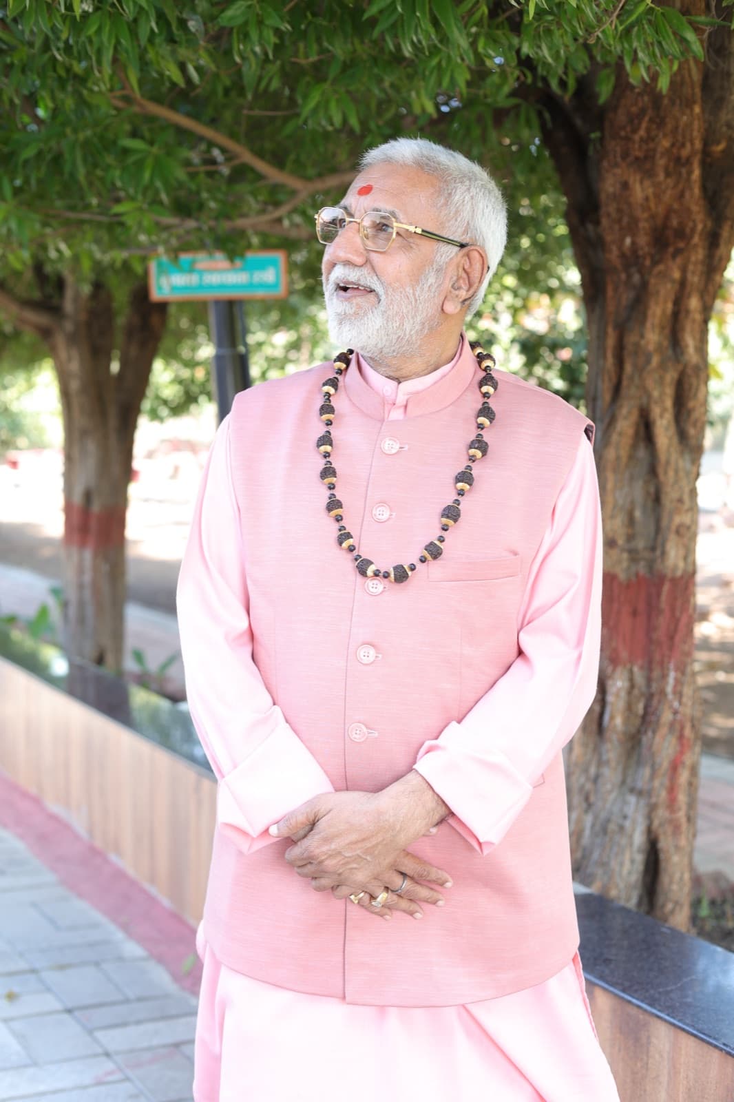 पं. विजय शंकर मेहता