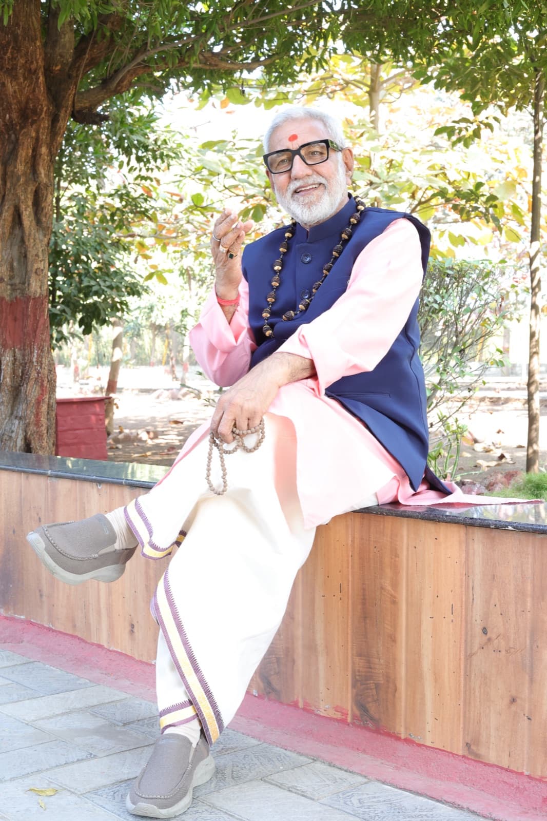 पं. विजय शंकर मेहता
